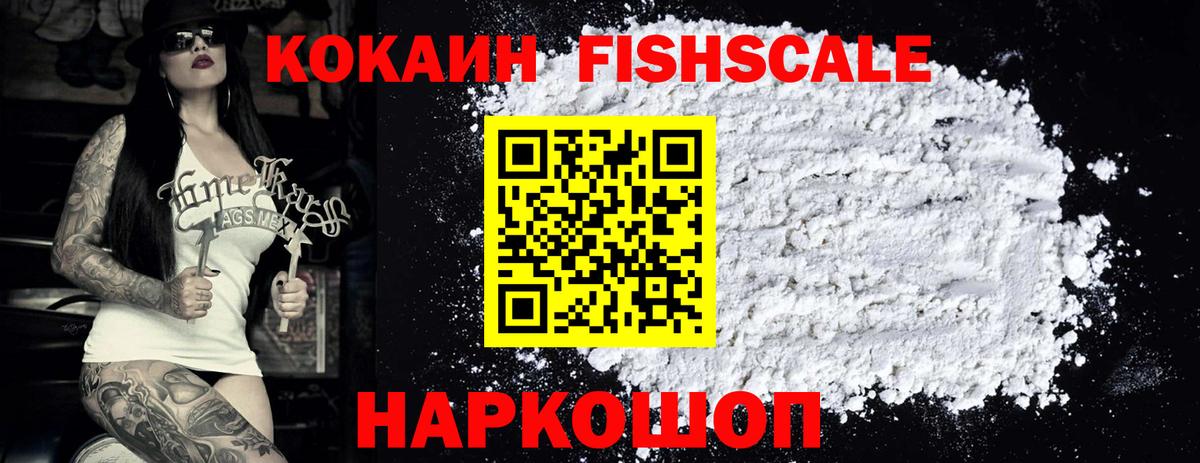 COCAIN Эквадор  купить наркотик  Новоалександровск  Cocaine FishScale  Вход с VPN 