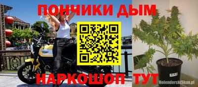 ПСИЛОЦИБИНОВЫЕ ГРИБЫ Пугачёв