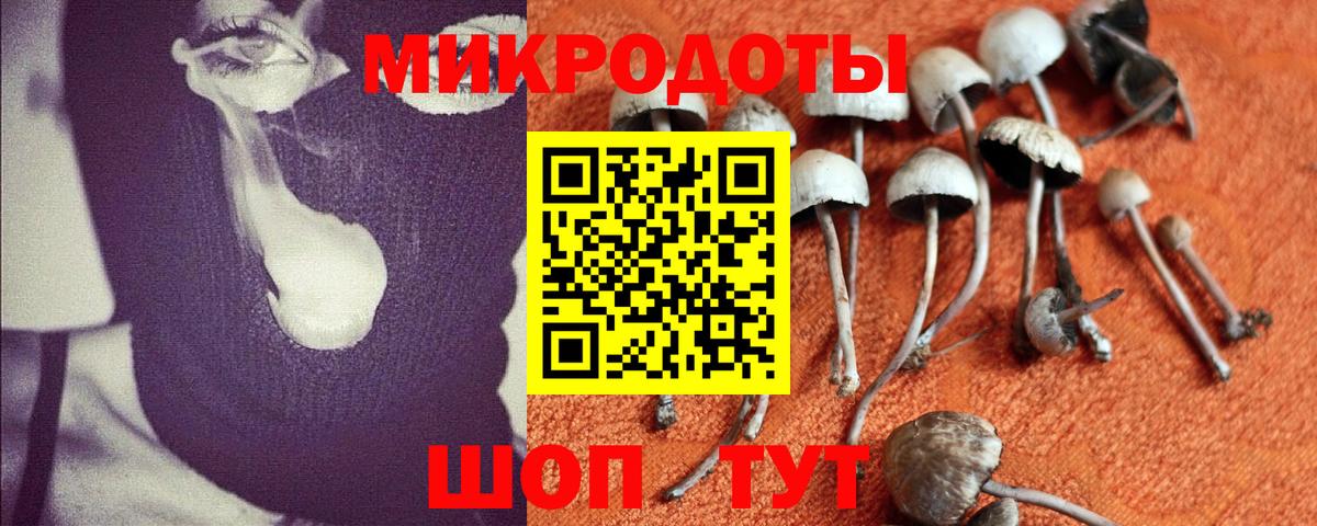 Галлюциногенные грибы GOLDEN TEACHER Новоалександровск