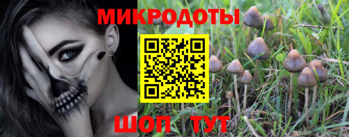 Новоалександровск  Галлюциногенные грибы мицелий  Вход с VPN 